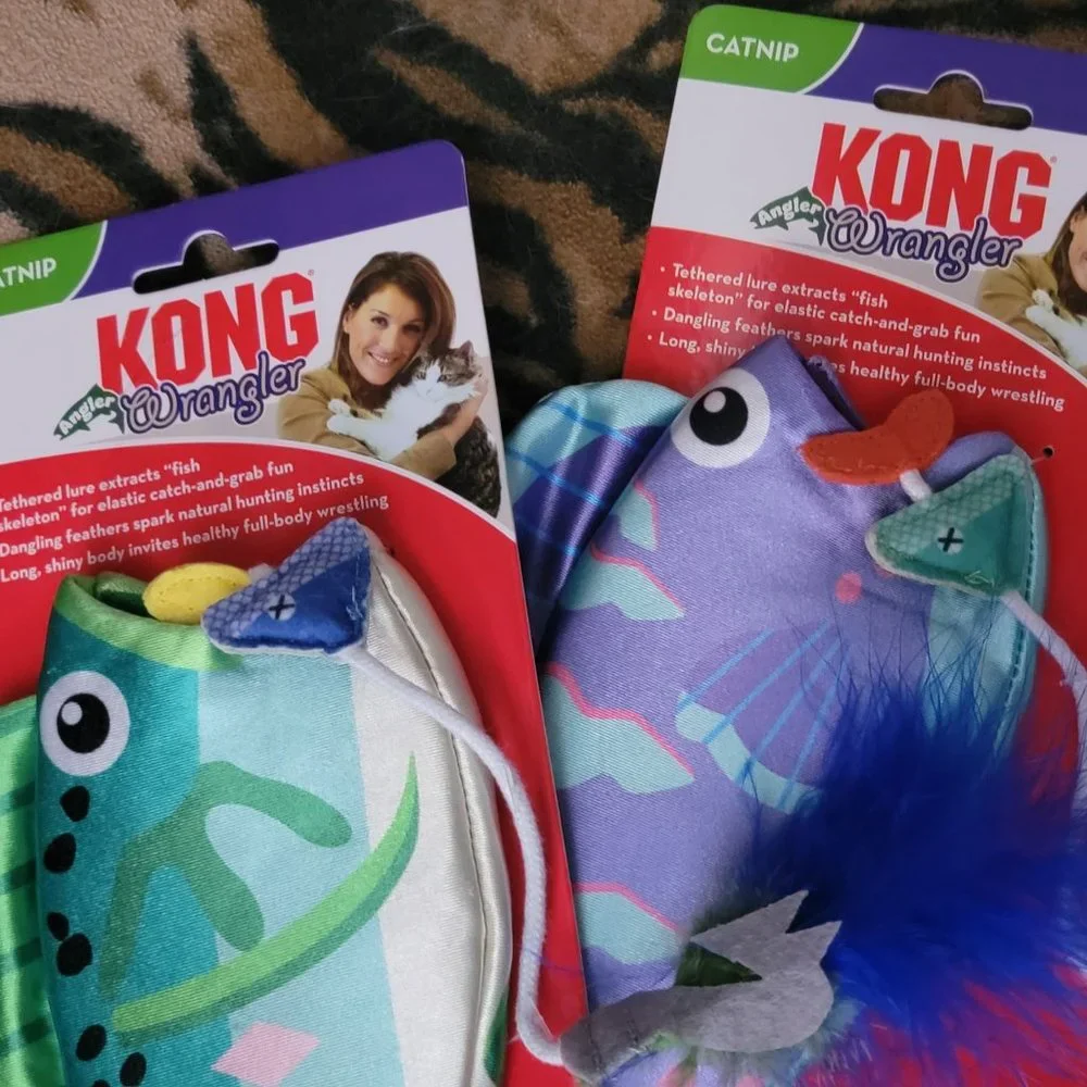Kong Cat Angler Wrangler Fish w catnip Various Colors New!